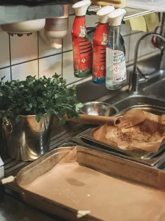 Planta de hoja verde en lavabo de acero inoxidable