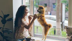 Mujer feliz con perro en repisa de ventana en café disfrutando