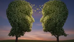 Cómo las plantas «conversan» entre sí: la asombrosa e invisible red de la vida