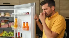 ¿Mal olor en el refrigerador? Aquí te mostramos cómo eliminarlo fácilmente sin comprar productos caros